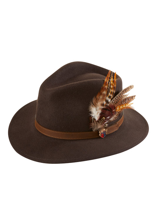 Alan Paine Richmond Ladies Felt Hat with Feather in Brown